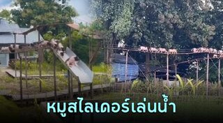 เที่ยวเชียงใหม่