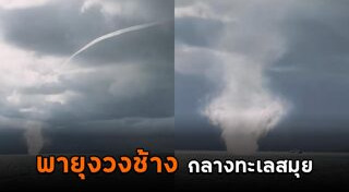 พายุงวงช้าง