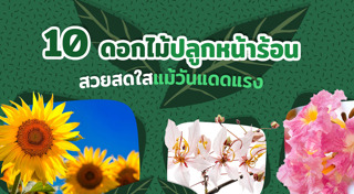 ปลูกต้นไม้