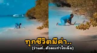 ปลาทูน่า