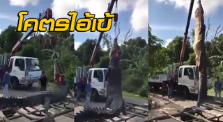 จระเข้น้ำเค็ม