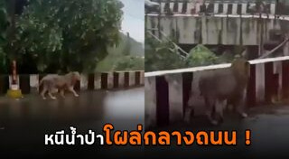 น้ำท่วมอินเดีย