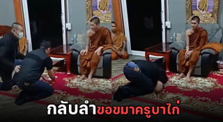 ครูบาไก่