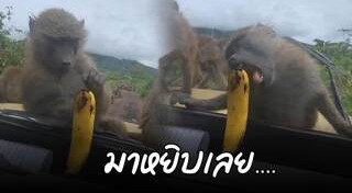 คลิปตลก
