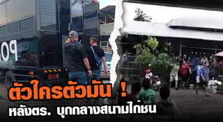 บ่อนไก่