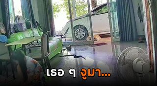 สัตว์มีพิษ