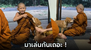 เณรน้อย