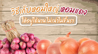 วิธีเก็บอาหาร