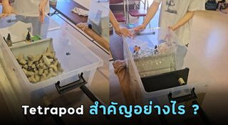 ความรู้รอบตัว