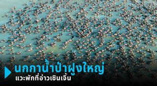 ท่องเที่ยวเชิงอนุรักษ์