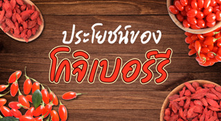 สมุนไพรจีน