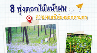 ทุ่งดอกไม้