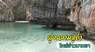 เกาะพีพี