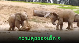 ซาฟารีเวิลด์