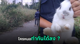 กระต่าย