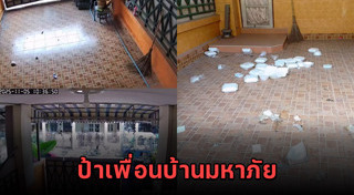 มนุษย์ป้า