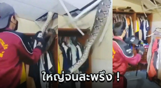 กู้ภัยจับงู