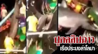 เรือประมง