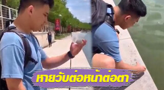 ปล่อยเต่า