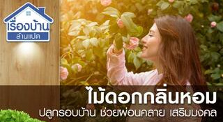 ปลูกไม้ดอก