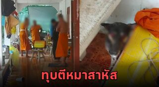 ทำร้ายสุนัข