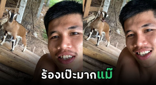 แพะ
