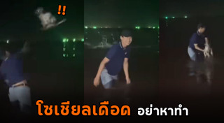 ทารุณสัตว์