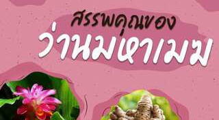 สมุนไพรแก้ผมร่วง