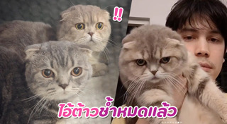 ซันนี่ สุวรรณเมธานนท์
