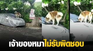 หมากัดรถ