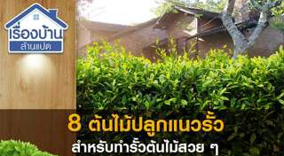 ปลูกต้นไม้ริมระเบียง