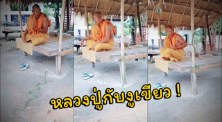 งูเขียวหางไหม้