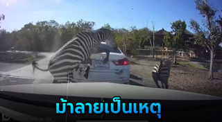 สวนสัตว์เปิด