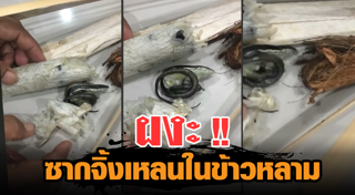ข้าวหลาม