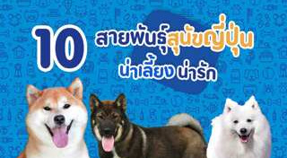 พันธุ์สุนัข