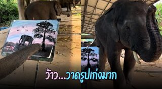 ช้างไทย