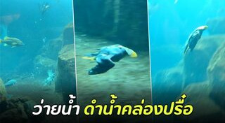 นกหายาก