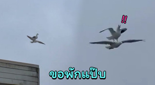 คลิปหายาก