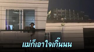 แมวจรจัด