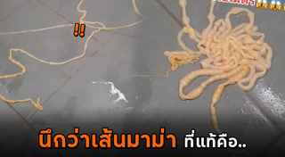 พยาธิตัวตืด