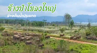 อ่างเก็บน้ำ