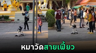 สเกตบอร์ด