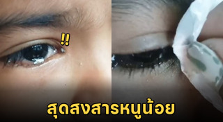 เห็บหมัด