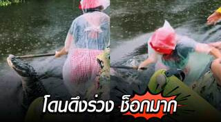 จระเข้