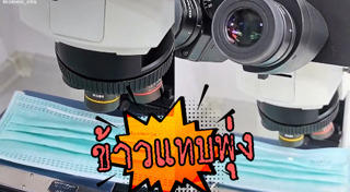 หน้ากากกันฝุ่น