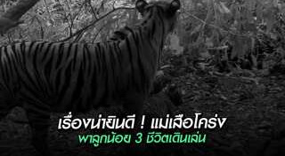 สัตว์ป่าสงวน