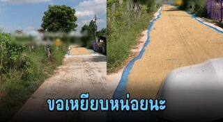 ตากข้าว