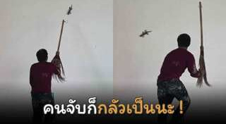 ตุ๊กแกยักษ์