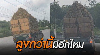 ผลไม้เมืองร้อน