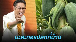 ปัญญา นิรันดร์กุล